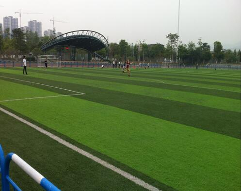 陜西特警大隊(duì)運(yùn)動(dòng)草坪