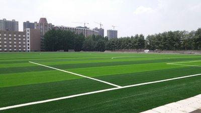 足球場(chǎng)人造草坪