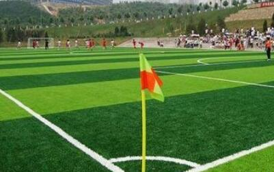 足球場(chǎng)人造草坪