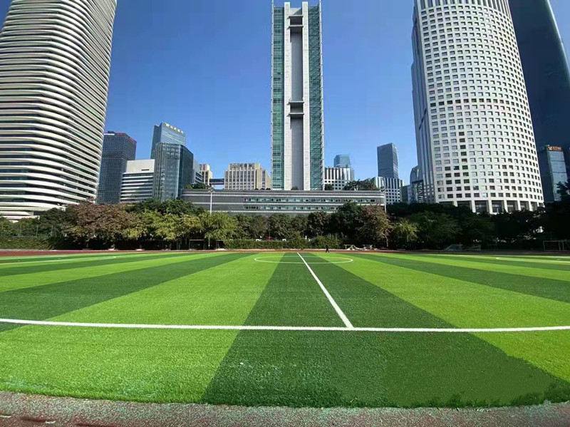 草坪足球場(chǎng)